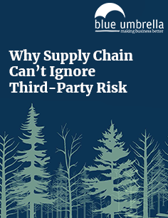 Offer-page---Supply-Chain-Guide
